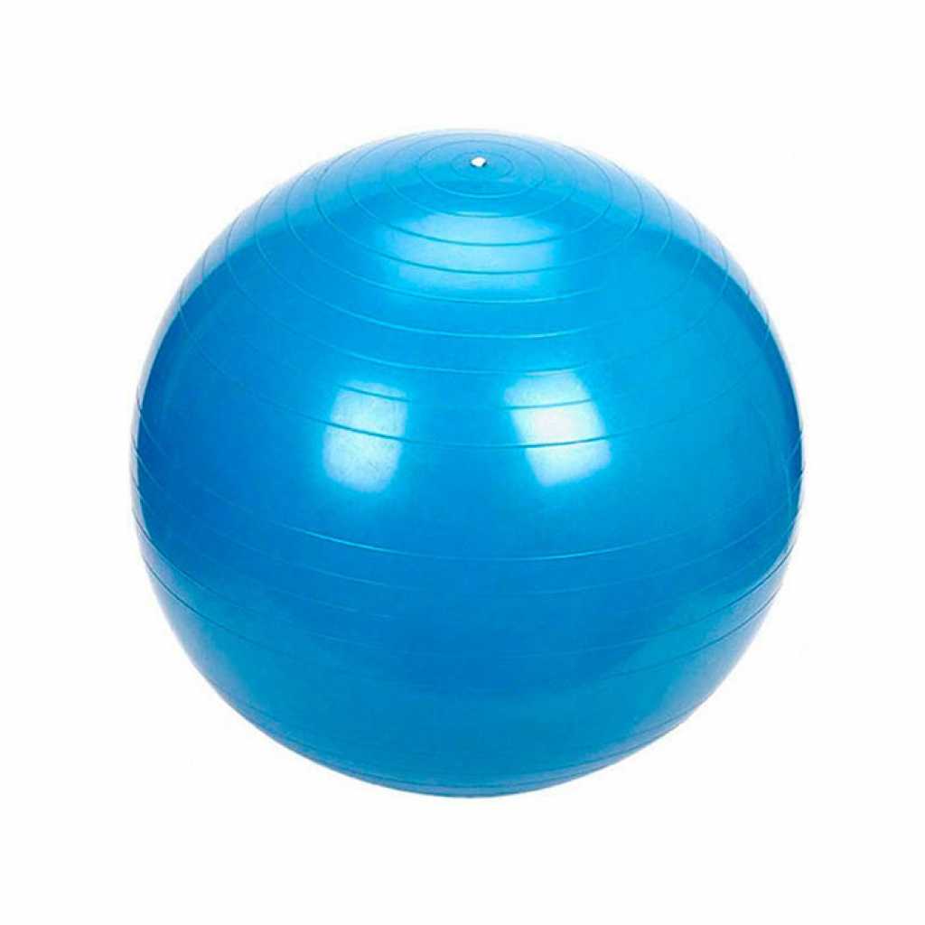 Мяч 65см Body boll с BRQ 90.65 Orto купить в OrtoMir24